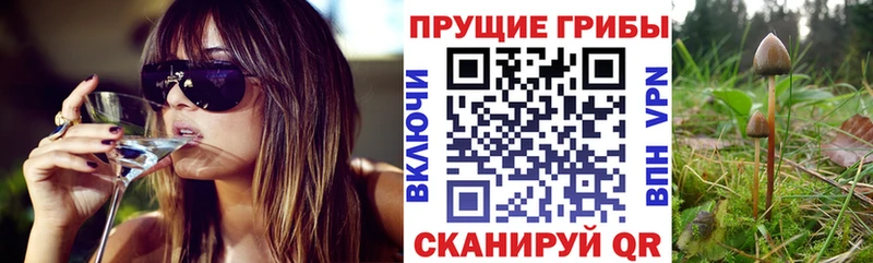 Галлюциногенные грибы MAGIC MUSHROOMS  Купить где  Гуково 
